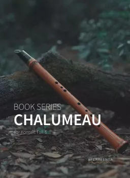 巴洛克时期的单簧木管乐器 XPERIMENTA Audio Book Series – Chalumeau v1.1 KONTAKT