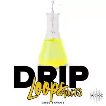 DiyMusicBiz Drip Loops Vol 13 WAV
